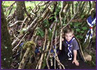 beavers den building