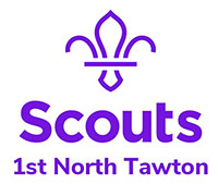 scouts team logo